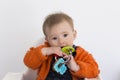 Medium horizontal shot of adorable fair toddler girl sitting in high chair holding colourful toy to her mouth