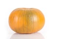 Medium isolated orange pumpkin
