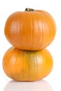 Medium isolated orange pumpkins