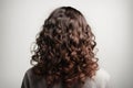 Medium Length Brown Curly Hair , Rear View On White Background. Generative AI