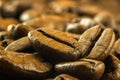 Medium roasted coffee beans
