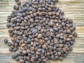 Medium roasted Peaberry coffee beans Royalty Free Stock Photo