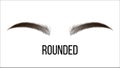 Medium Rounded Vector Hand Drawn Brows Shape