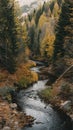 A medium shot of a curvy mountain stream