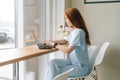 Medium shot of focused young woman typing on laptop computer sitting at table by window in cafe, looking on display Royalty Free Stock Photo