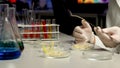 Scientist sorting sprouts in Petri dish