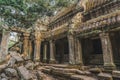 Ruins Of Abandon Temple - Angkor Wat