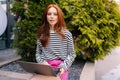 Medium shot of successful redhead business young woman working laptop outdoor by trees, looking at camera. Pretty female Royalty Free Stock Photo