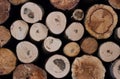 Round cuts of freshly sawn wood lying in a woodpile