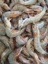 Medium-sized shrimp paste together in a pan. Royalty Free Stock Photo