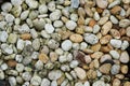 Medium smooth waterworn pebbles stones Royalty Free Stock Photo