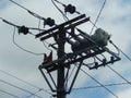 Close-up of Medium Voltage Power Lines with Ceramic and Polymer Insulators on a Utility Pole Royalty Free Stock Photo