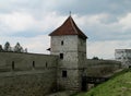 Medival castle in Romania, fortificated wall Royalty Free Stock Photo