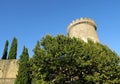 Medival castle tower among green trees