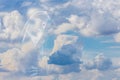 Blessed Virgin Mary on Sky background