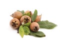 Medlar Royalty Free Stock Photo