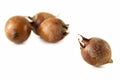 Medlar Royalty Free Stock Photo