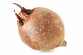 Medlar Royalty Free Stock Photo