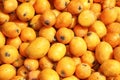 Medlar fruits pattern background texture market Royalty Free Stock Photo