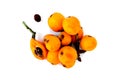 Medlar or loquat fruits isolated on a white background