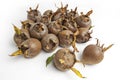 Medlars isolated Royalty Free Stock Photo