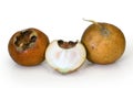 MEDLAR or MISPEL (MESPILUS GERMANICA) Royalty Free Stock Photo