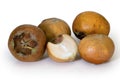 MEDLAR or MISPEL (MESPILUS GERMANICA) Royalty Free Stock Photo