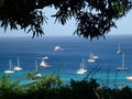 A medley of boats in admiralty bay. Royalty Free Stock Photo