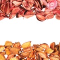 Medley potpourri copyspace composition Royalty Free Stock Photo
