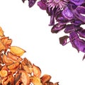 Medley potpourri copyspace composition Royalty Free Stock Photo