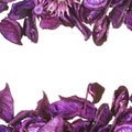 Medley potpourri copyspace composition Royalty Free Stock Photo