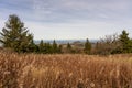 medows on wasserkuppe peak plateau in rhoen, hesse germany Royalty Free Stock Photo