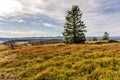 medows on wasserkuppe peak plateau in rhoen, hesse germany Royalty Free Stock Photo