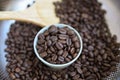 Meduim roasted coffee bean on process of roasting in home cafe Royalty Free Stock Photo