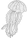 Medusa antistress coloring. Marine animal vector