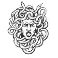 Medusa greek myth creature engraving vector Royalty Free Stock Photo