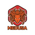 Medusa snake hair mascot logo for your business, vector illustration