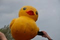 Medvedev`s duck on Anticorruption rally on June 12, 2017 in St. Petersburg