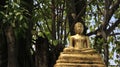 Local Art. Golden Buddha With Bodhi Leaves And Tree