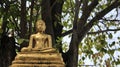 Local Art. One Golden Buddha With Bodhi Leaves And Tree Royalty Free Stock Photo