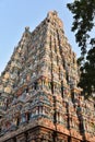 Meenakshi Amman Temple-Madurai