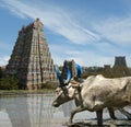 Meenakshi Hindu temple in Madurai, Tamil Nadu Royalty Free Stock Photo