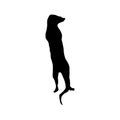 Meerkat black silhouette Royalty Free Stock Photo
