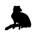 Meerkat black silhouette Royalty Free Stock Photo