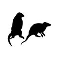 Meerkat black silhouette Royalty Free Stock Photo