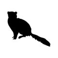 Meerkat black silhouette Royalty Free Stock Photo