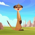 Meerkat happy wild cartoon animal standing in beautiful landscape Royalty Free Stock Photo