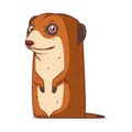 A Meerkat, isolated vector illustration. Funny cartoon picture for children of smiling friendly mongoose Royalty Free Stock Photo