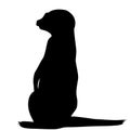 Meerkat silhouette isolated Royalty Free Stock Photo