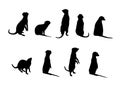 Meerkat silhouettes